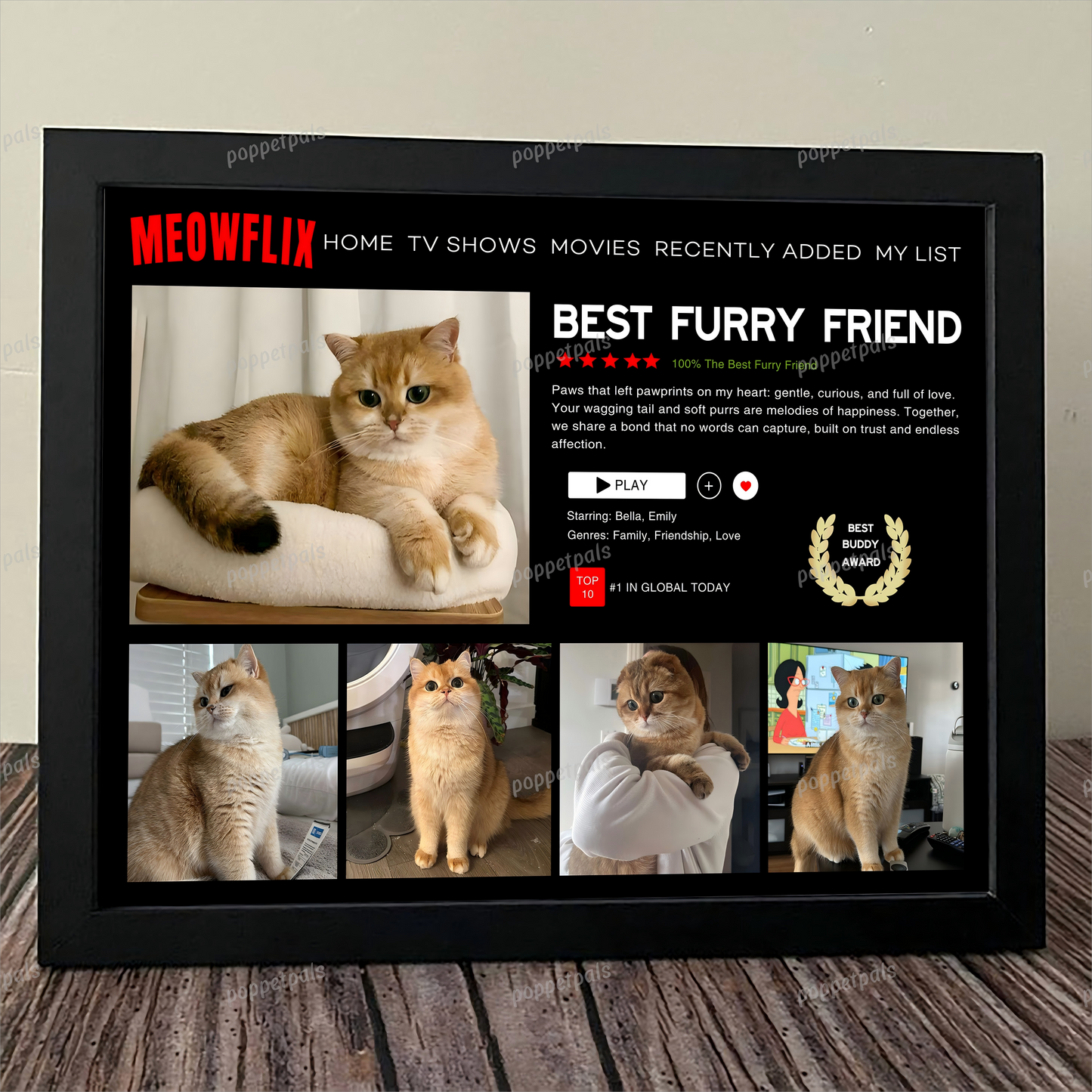 Custom Pawflix Pets Photo Movie Frame, Gift For Pet Lovers