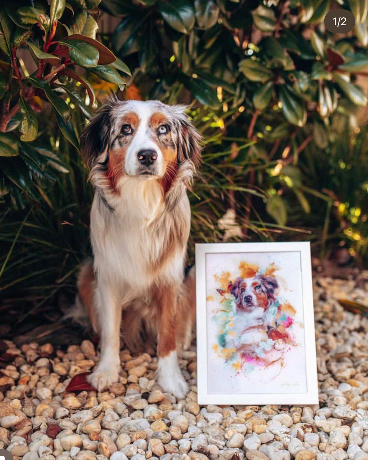 Glitter Embellished Print - Pet Oil Painting