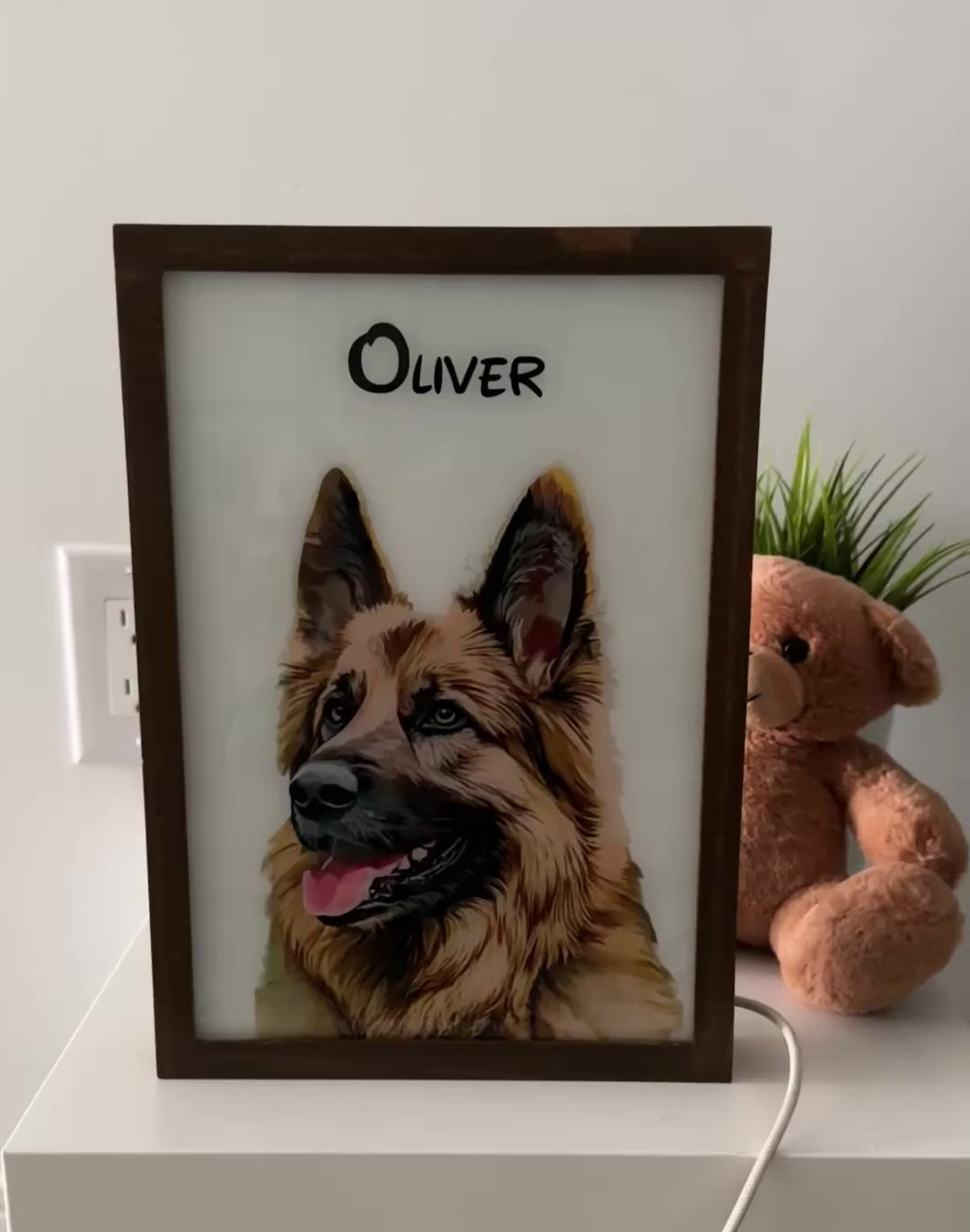 Personalised Light Up Picture Frame (2 Pets)