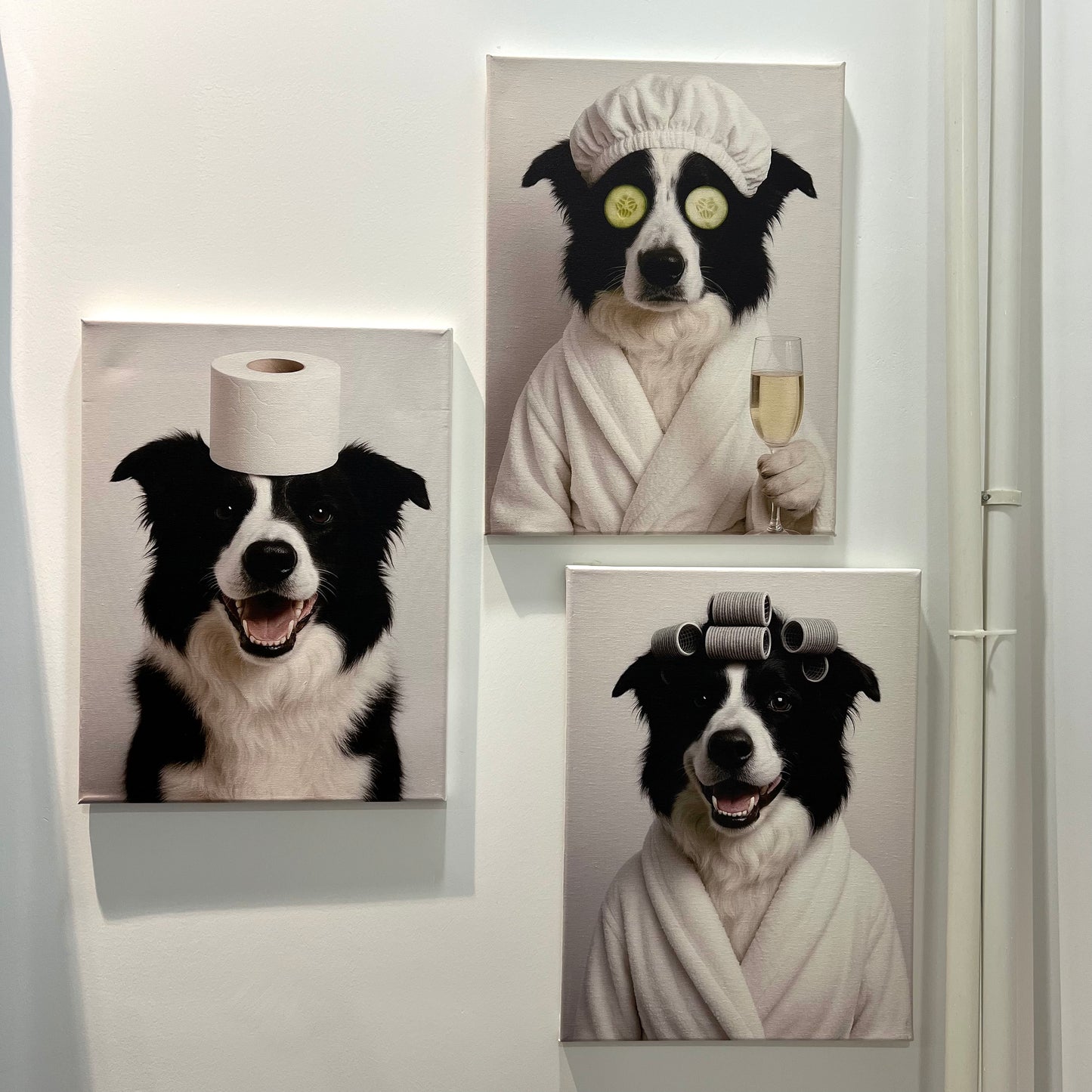 Custom Fun Pet Bathroom Wall Art Colorful Edition
