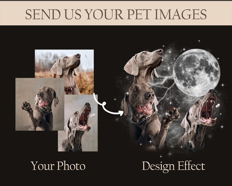 Custom Pet Moon Shirts, Memorial Gifts For Pet Lovers