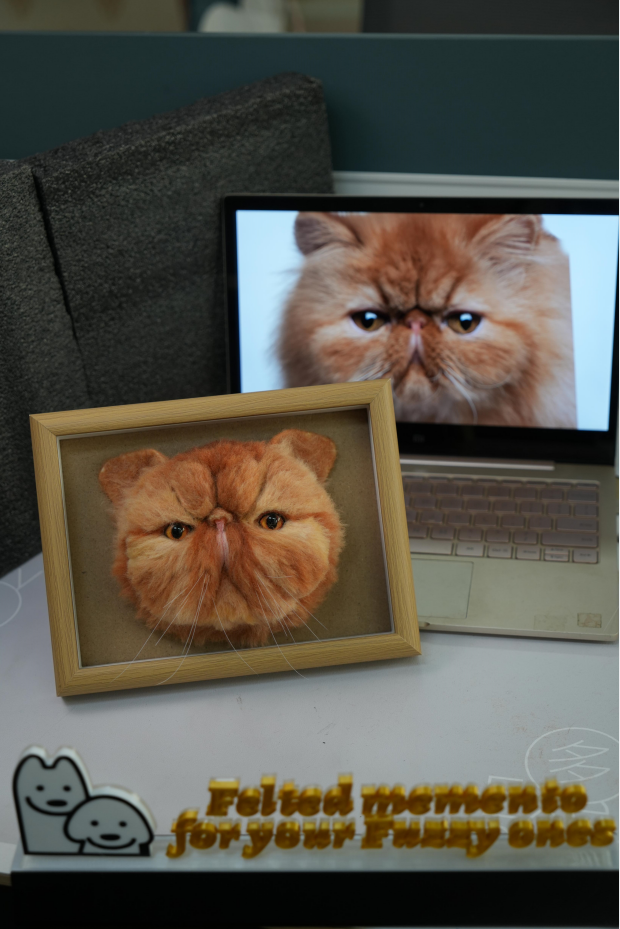 🔥🔥🔥Handmade custom pet wool felt(Free shipping)