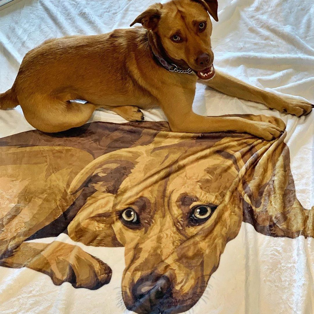Your Pet on a Blanket
