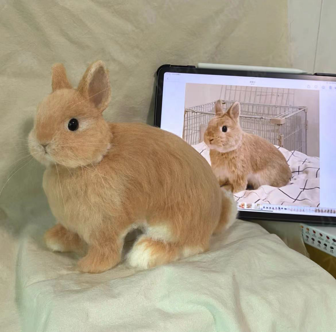 🔥🔥🔥Handmade custom pet wool felt(Free shipping)