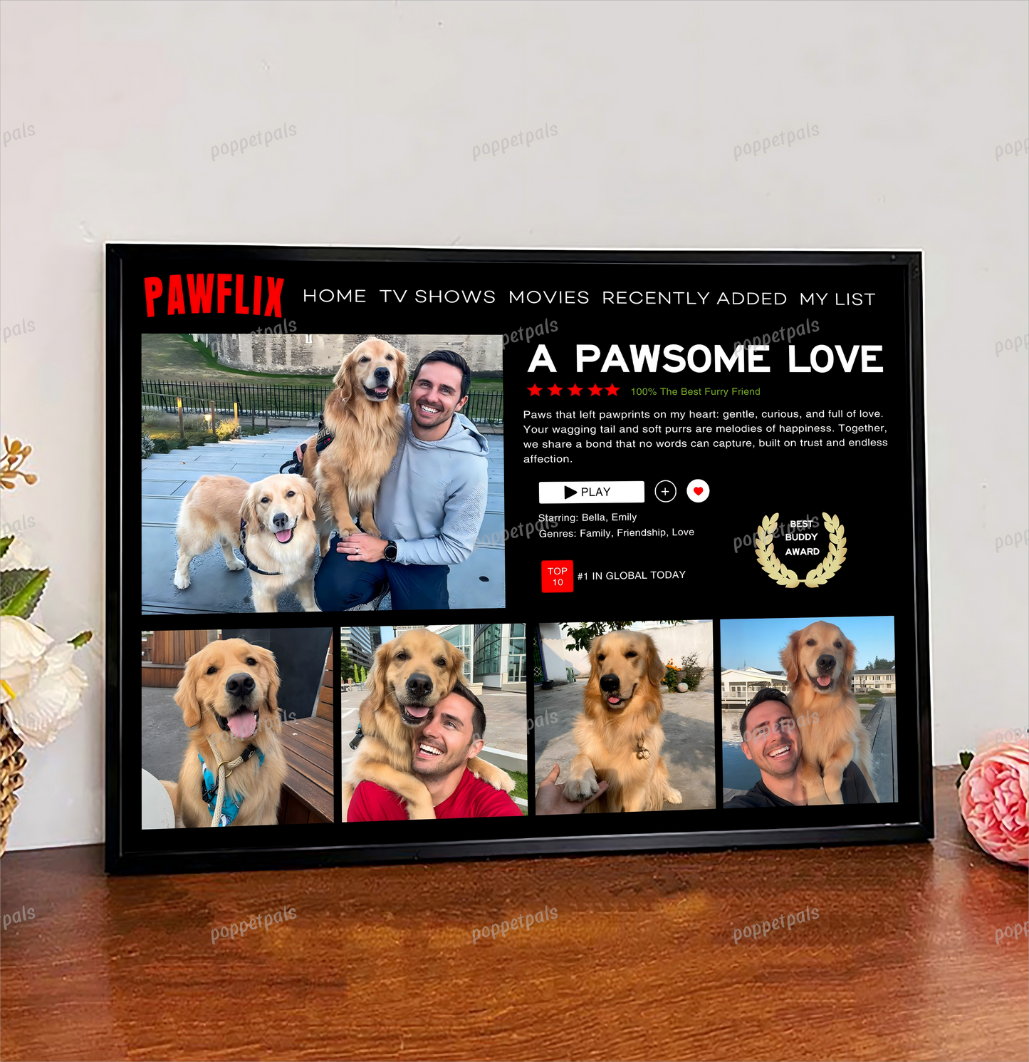 Custom Pawflix Pets Photo Movie Frame, Gift For Pet Lovers
