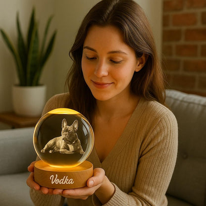 Customized 2d Pet Photo Crystal Ball Night Light, Commemorative Gift For Pet Lovers