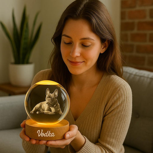 Customized 2d Pet Photo Crystal Ball Night Light, Commemorative Gift For Pet Lovers