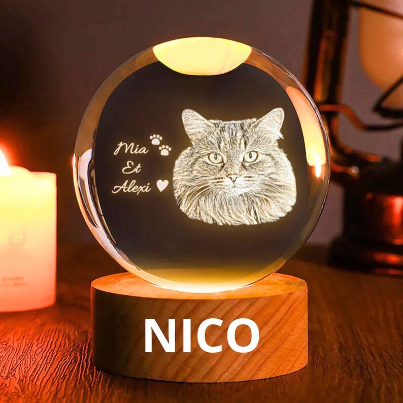 Customized 2d Pet Photo Crystal Ball Night Light, Commemorative Gift For Pet Lovers