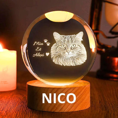Customized 2d Pet Photo Crystal Ball Night Light, Commemorative Gift For Pet Lovers