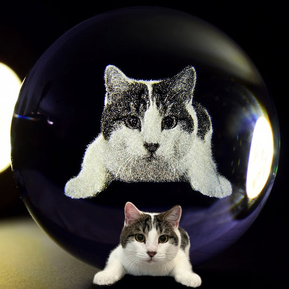 Customized 2d Pet Photo Crystal Ball Night Light, Commemorative Gift For Pet Lovers