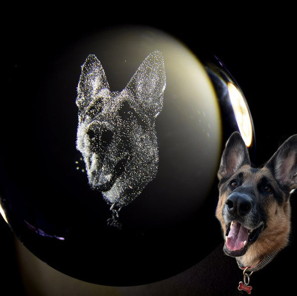 Customized 2d Pet Photo Crystal Ball Night Light, Commemorative Gift For Pet Lovers