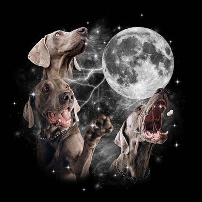 Custom Pet Moon Shirts, Memorial Gifts For Pet Lovers