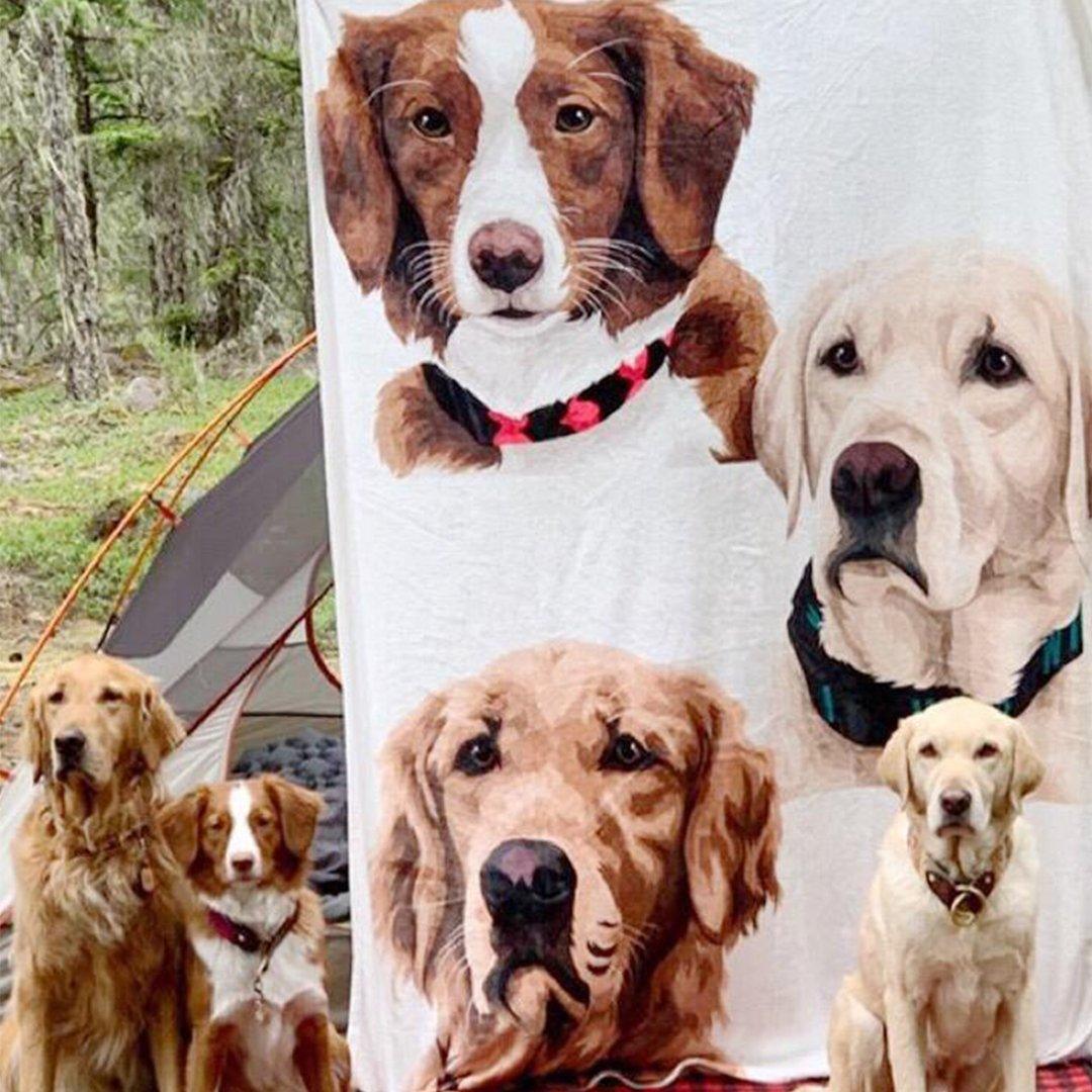 Your Pet on a Blanket