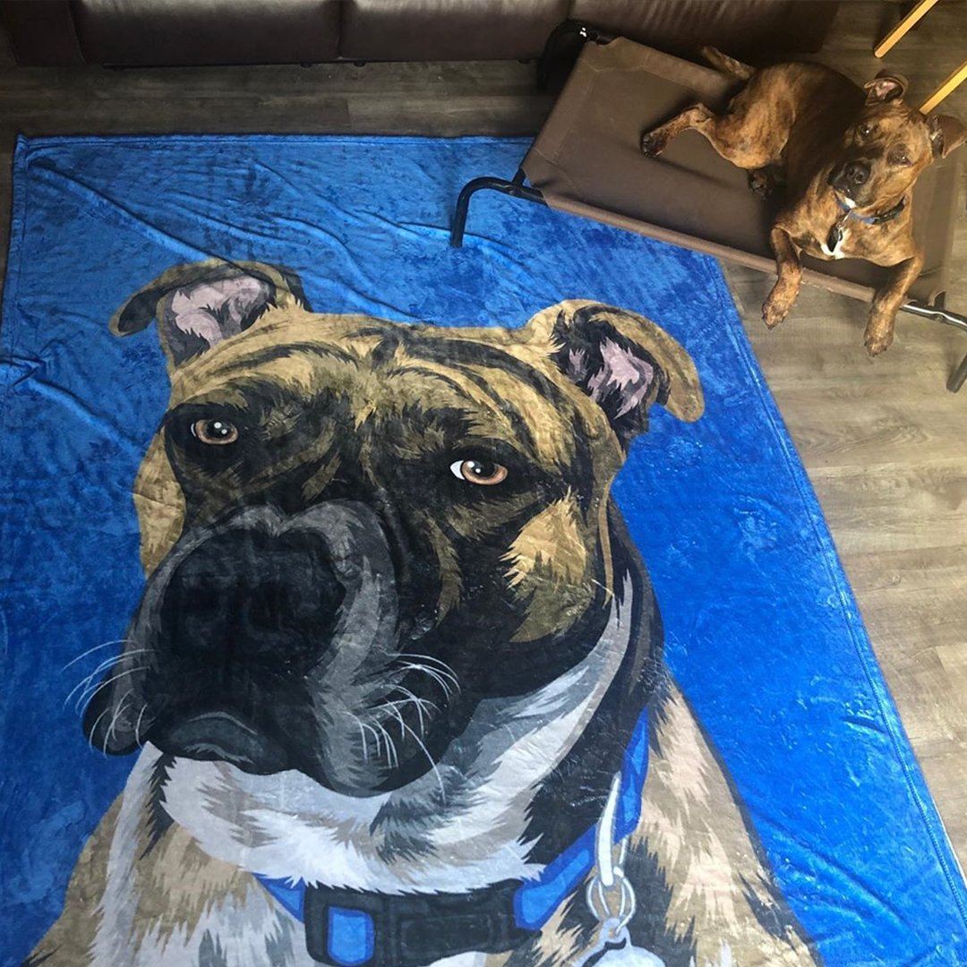 Your Pet on a Blanket