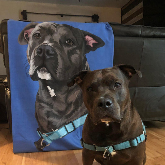 Your Pet on a Blanket