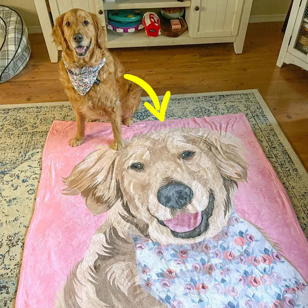 Your Pet on a Blanket