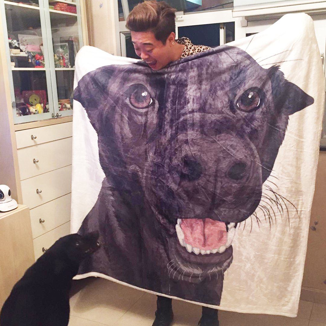 Your Pet on a Blanket