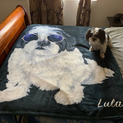 Your Pet on a Blanket