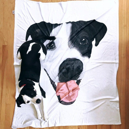 Your Pet on a Blanket