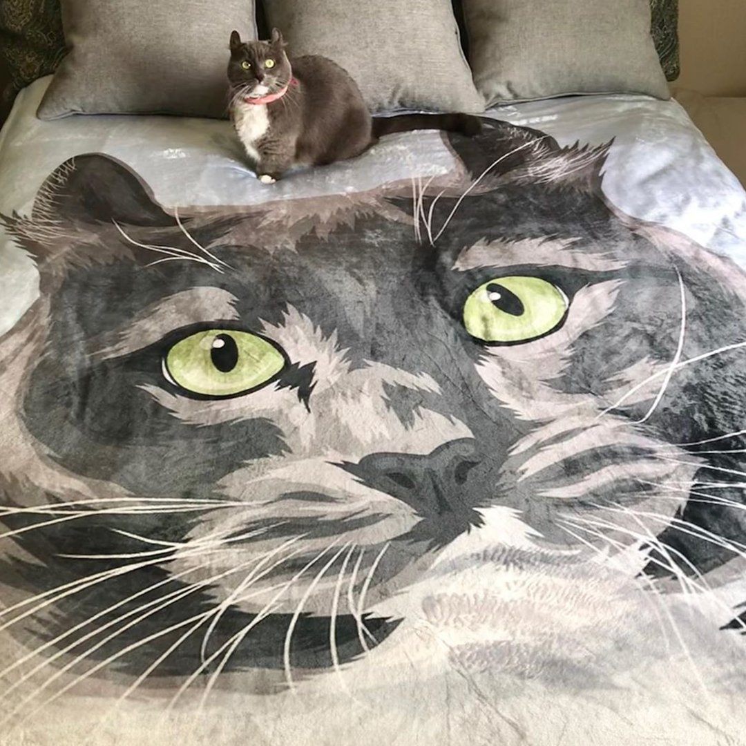 Your Pet on a Blanket
