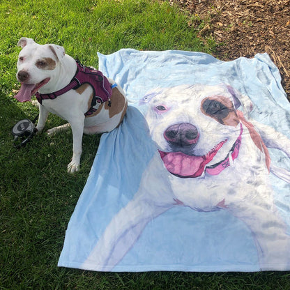 Your Pet on a Blanket