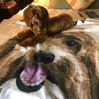Your Pet on a Blanket